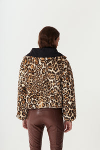 Campera Klimt