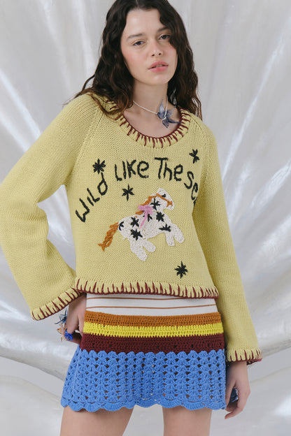 Sweater Horse